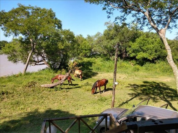 CABAÑA EN CAYASTA - SE ALQUILA por dia.