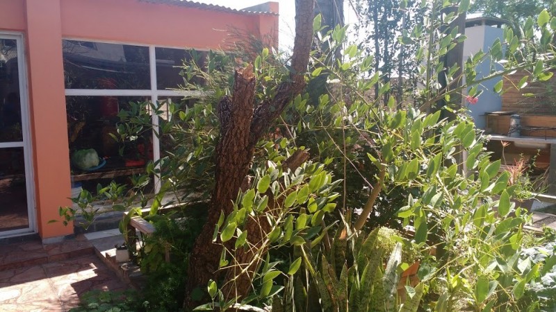 Casa, amplia y de excelente calidad constructiva.