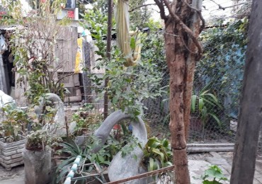Inversores ! Casa con amplio lote excelente zona Rafaela